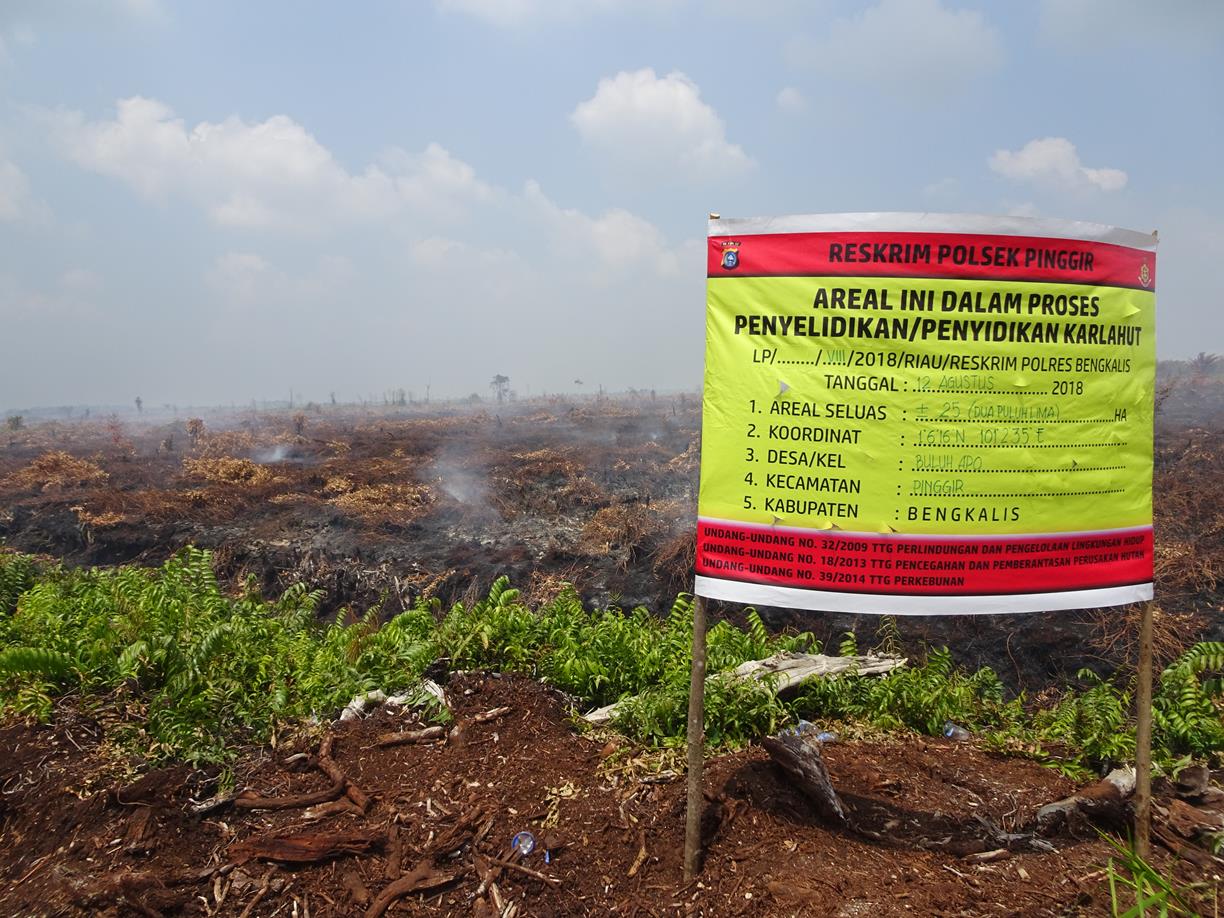 Spanduk dari kepolisian yang menyatakan lokasi kebakaran seluas 25 hektar dalam proses penyidikan Lokasi Kebakaran lahan gambut di konsesi PT RRP yang sudah dicabut izinnya di Desa Buluh Apo pada titik koordinat N1°6'19.79