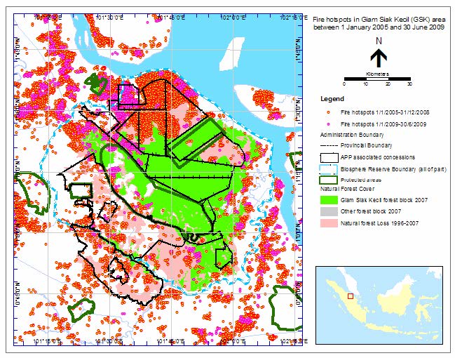 Map 1.—Fire hotspots in Giam Siak Kecil (GSK) area between 1 January 2005 and 30 June 2009.
In total 950 hotspots were counted in areas where there used to be natural forest in 1996 in GSK
(pink and green area).
